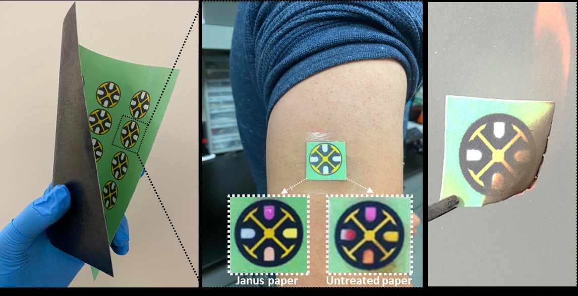 Graphic for Janus Paper research